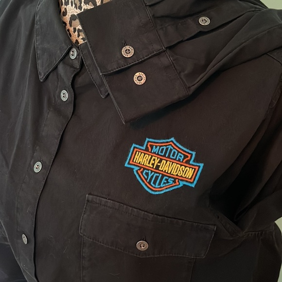 HD button down - Picture 4 of 4